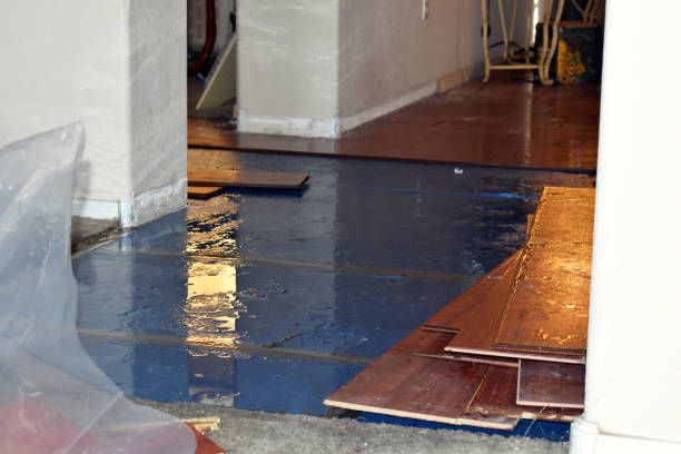 Professional Flood Cleanup technician working in Applegate, MI